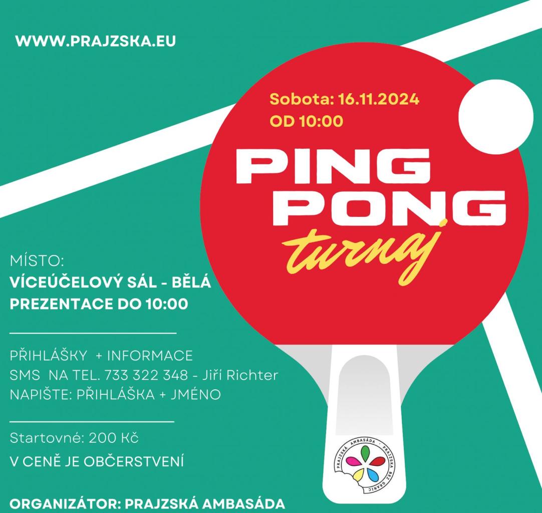 PING PONG TURNAJ